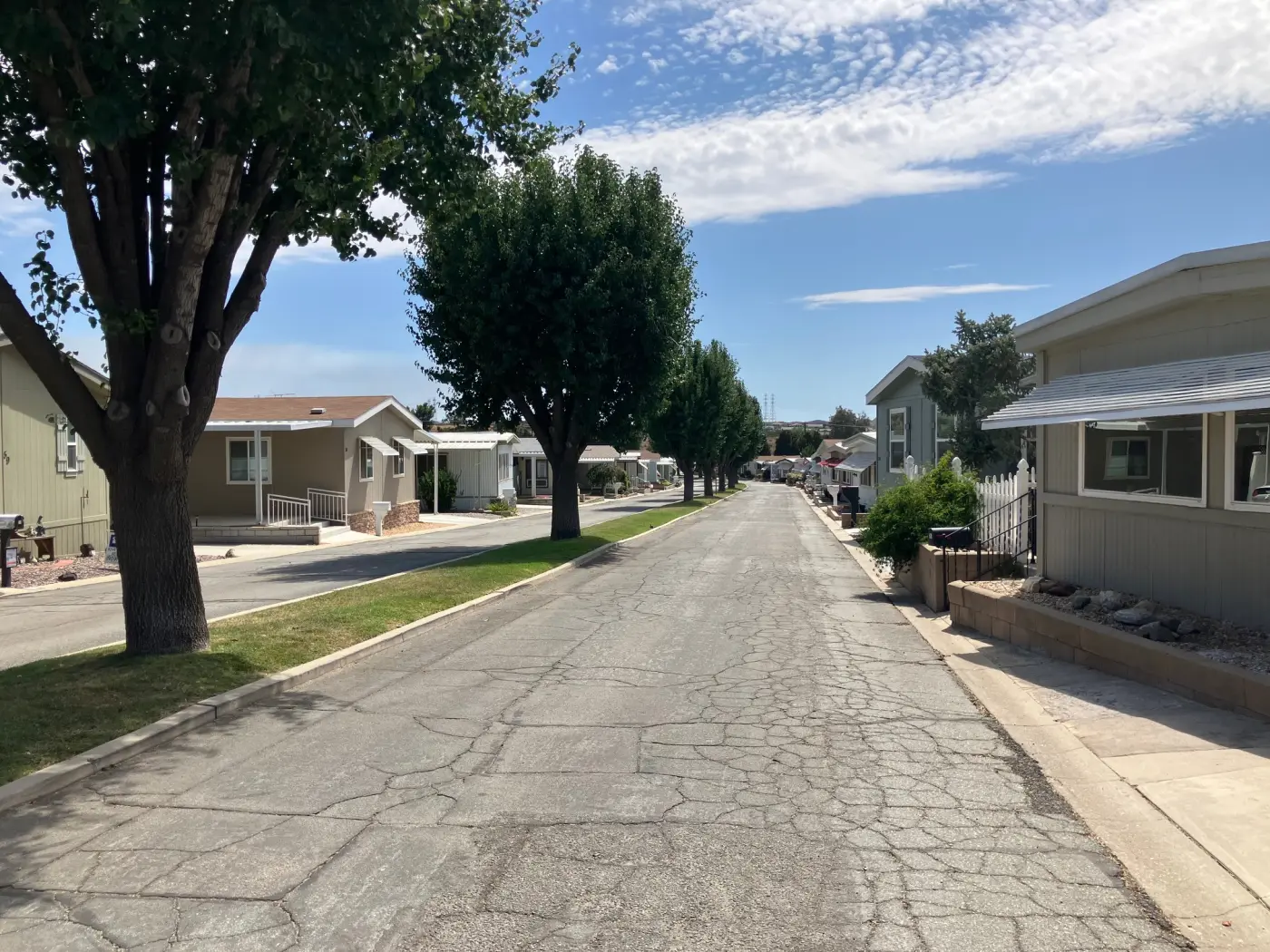 A tree-lined street of homes inside Rancho Calimesa on a clear day