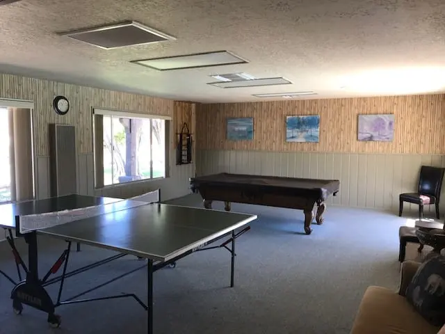 The billiard table and ping pong table in the recreation room